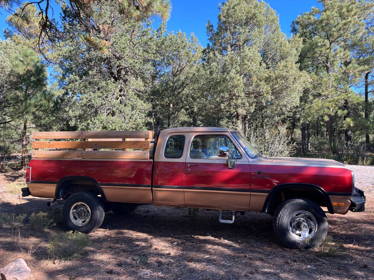 Dodge-w-series-w200-diesel-1993-red-2