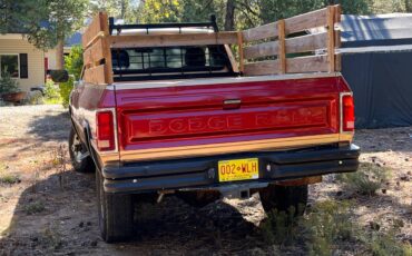 Dodge-w-series-w200-diesel-1993-red-3