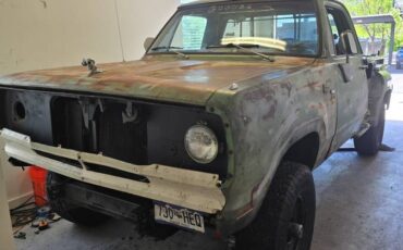 Dodge-w100-1972-green-1