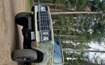 Dodge-w100-1972-green