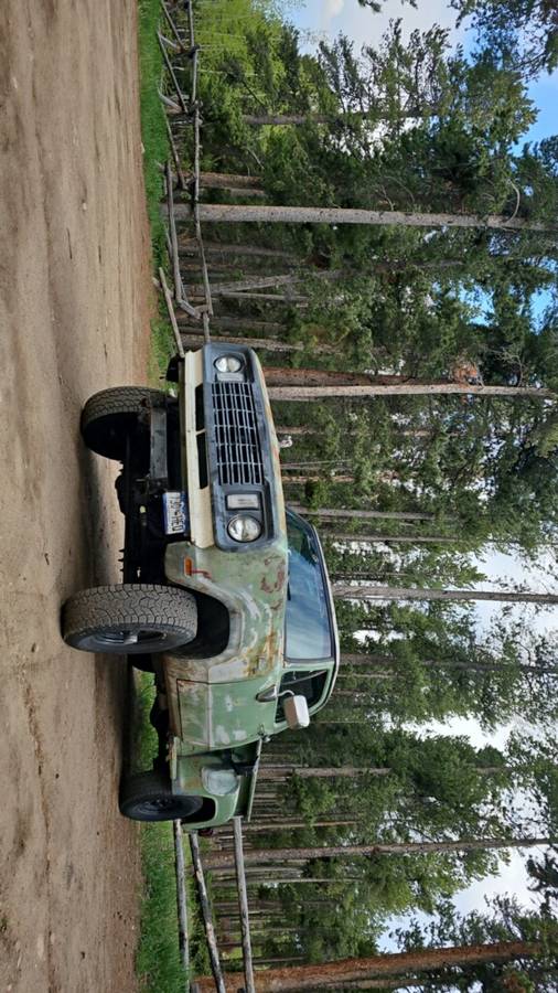 Dodge-w100-1972-green