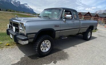 Dodge-w250-diesel-1993-5