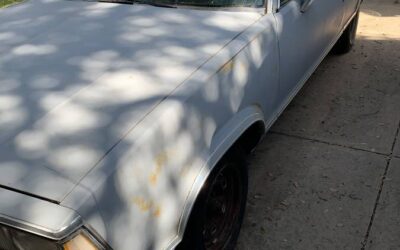 El camino 1980
