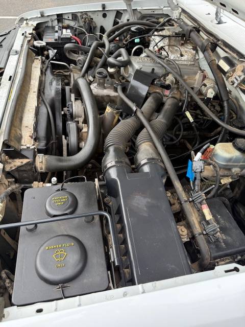 F150-1995-white-3