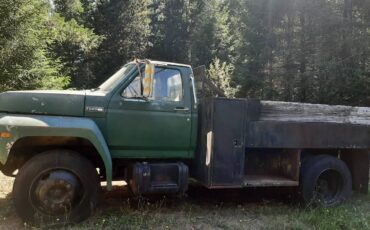 F700-1984-3