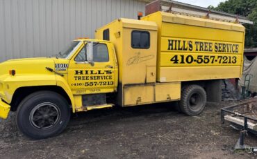 F700-diesel-1992-yellow-2