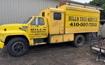 F700 ford tree chipper truck diesel 1992