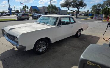 F85-cutlass-1964-6