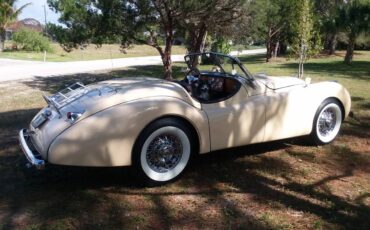 Factory-built-reproduction-1989-custom-8