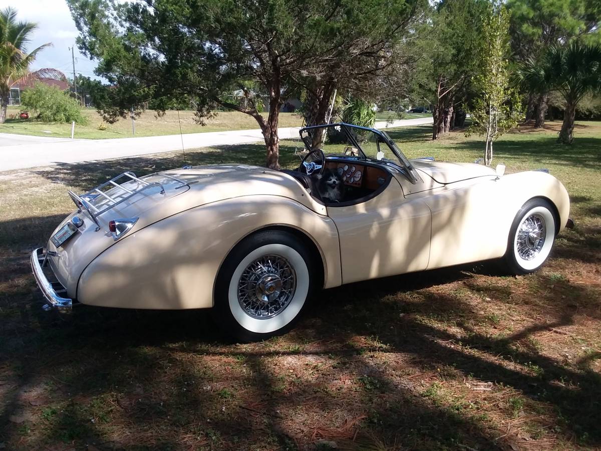 Factory-built-reproduction-1989-custom-8