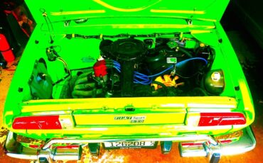 Fiat-850-spider-1973-Verde-Black-10