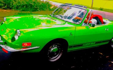 Fiat-850-spider-1973-Verde-Black-19