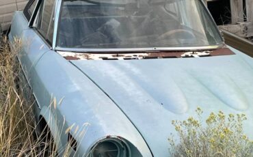 Fiat-convertable-1981-white-7
