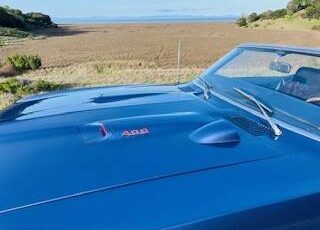 Firebird-convertible-1969-blue-9
