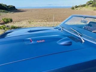 Firebird-convertible-1969-blue-9