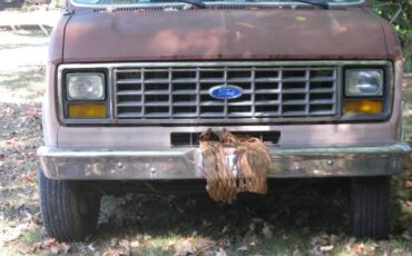 Ford-1989-9