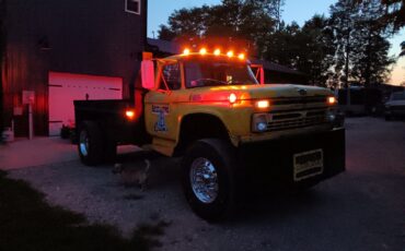 Ford-600-Custom-1966-Cab-Chassis-3