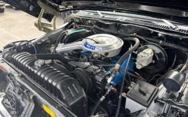 Ford-BRONCO-Free-wheeling-appearance-pkg-frame-off-ver-1979-2