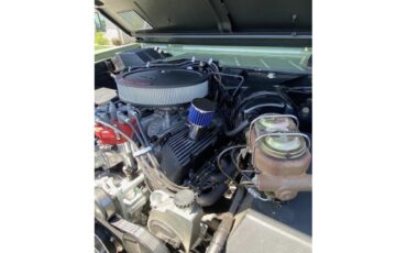 Ford-Bronco-1974-Boxwood-green-Black-3