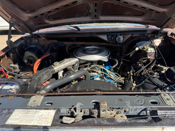 Ford-Bronco-1982-Brown-Tan-3