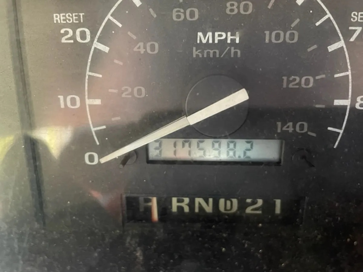 Ford-Bronco-1994-White-Blue-1