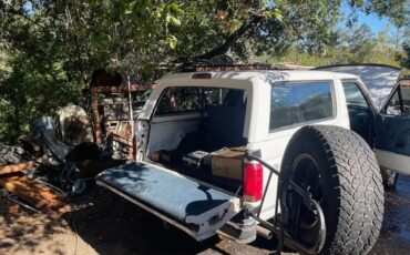Ford-Bronco-1994-White-Blue-15