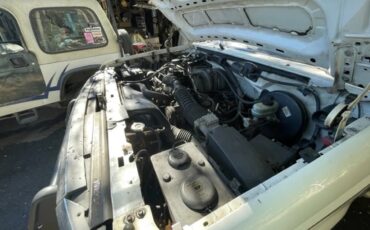 Ford-Bronco-1994-White-Blue-3