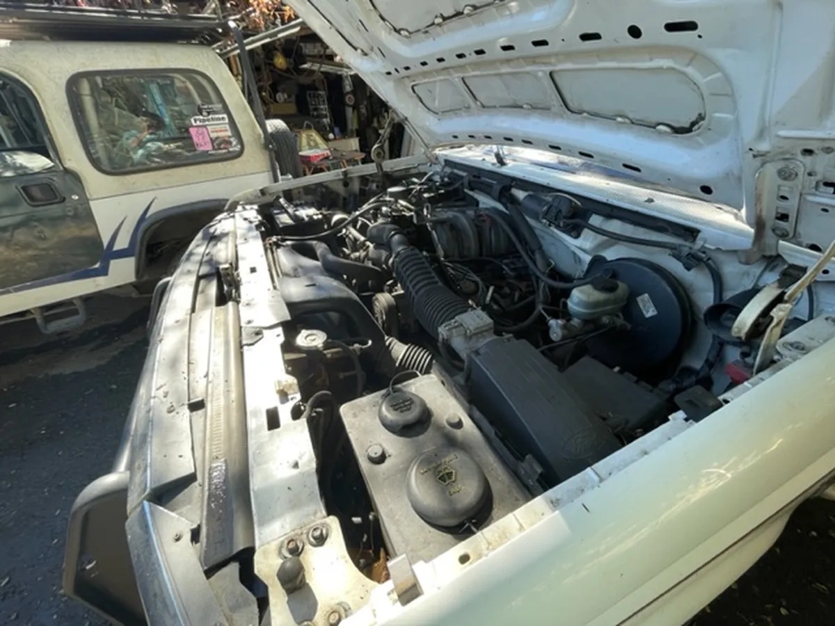 Ford-Bronco-1994-White-Blue-3