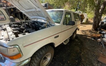 Ford-Bronco-1994-White-Blue