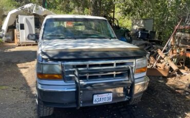 Ford-Bronco-1994-White-Blue-4
