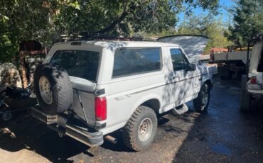 Ford-Bronco-1994-White-Blue-6