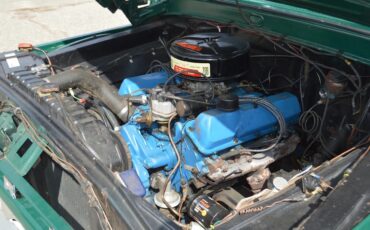 Ford-F-100-1966-Green-Green-12