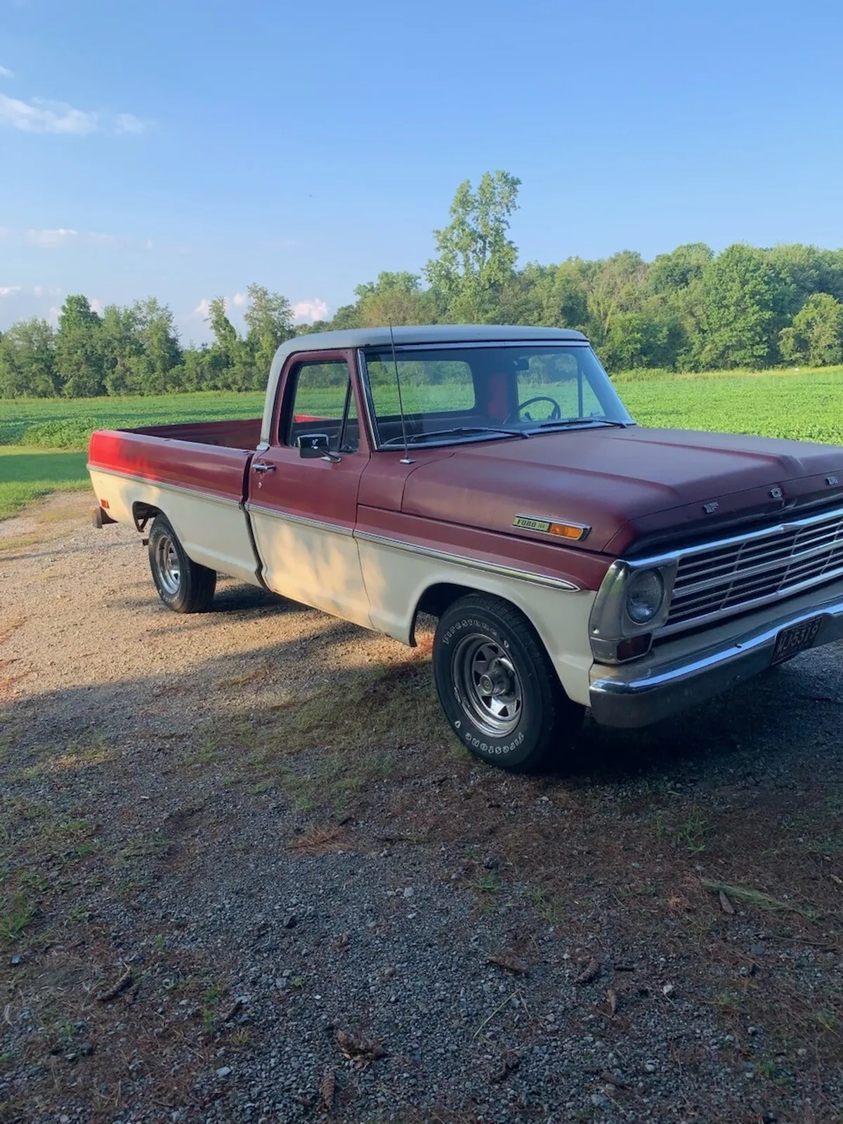 Ford-F-100-1969-Red-Red-10