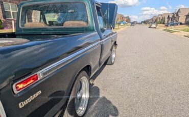 Ford-F-100-1976-10