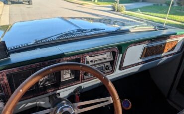 Ford-F-100-1976-4