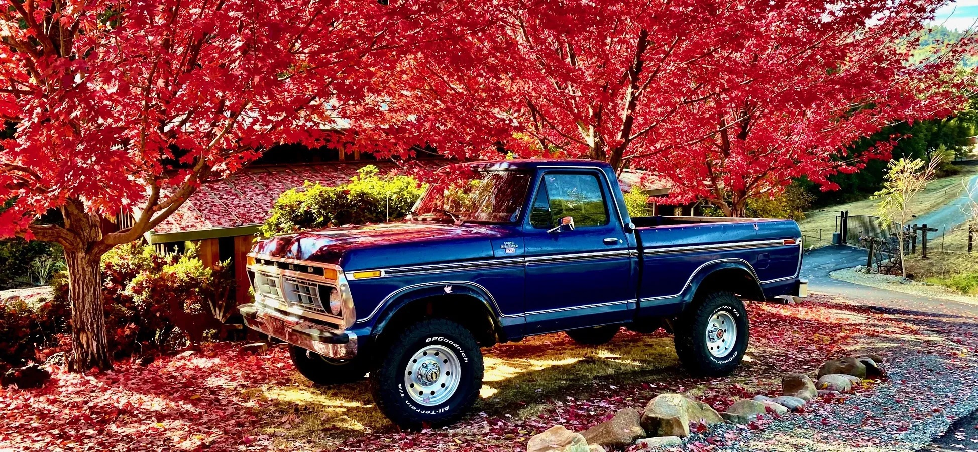 Ford-F-150-1977-Midnight-Blue-Metallic-Blue-6