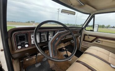 Ford-F-150-1979-Metallic-Brown-And-Cream-Brown-And-Wood-Grain-7