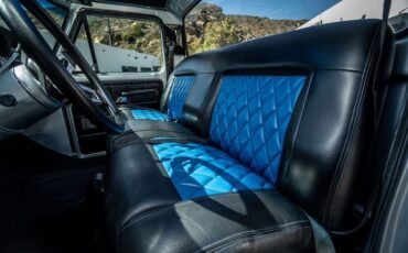 Ford-F-150-1979-Silver-Black-13