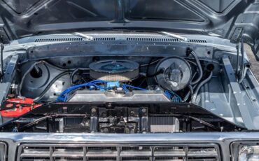 Ford-F-150-1979-Silver-Black-17