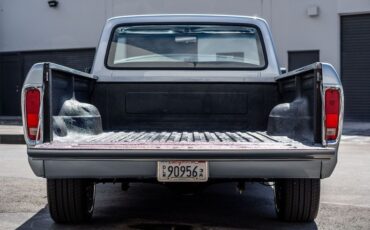 Ford-F-150-1979-Silver-Black-18