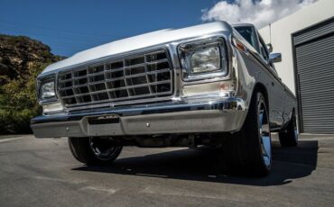 Ford-F-150-1979-Silver-Black-23