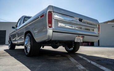 Ford-F-150-1979-Silver-Black-25