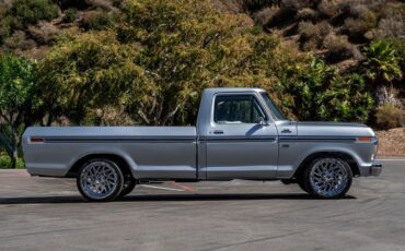 Ford-F-150-1979-Silver-Black-3
