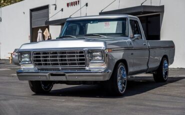 Ford-F-150-1979-Silver-Black-5