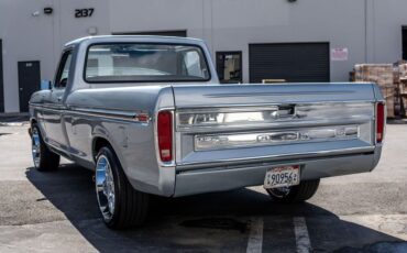 Ford-F-150-1979-Silver-Black-9