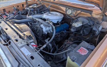 Ford-F-150-1982-Extended-Cab-Pickup-23