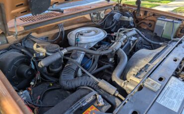 Ford-F-150-1982-Extended-Cab-Pickup-24