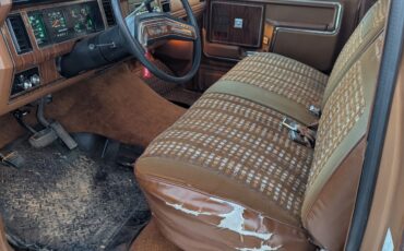 Ford-F-150-1982-Extended-Cab-Pickup-5