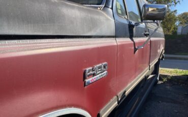 Ford-F-150-1989-3