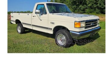 Ford-F-150-1991-Cream-Blue-4
